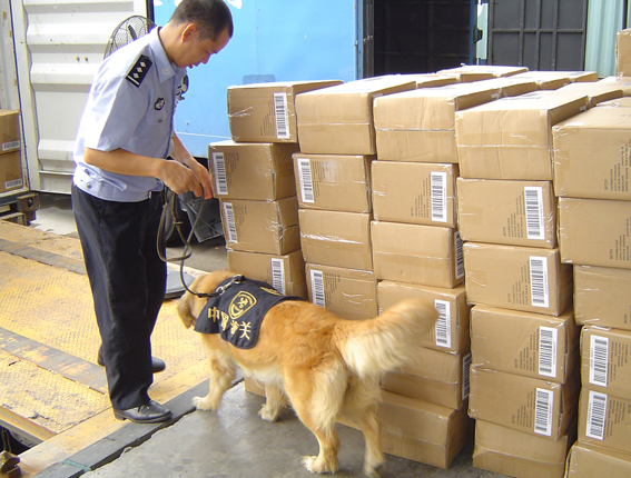 《南方日报:缉毒犬凤岗海关扬威